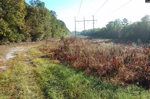 322 Sandspur Rd, Camden, SC 29020 - Photo 8