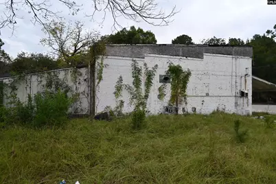 824 Chesnut Street, Camden, SC 29020 - Photo 4