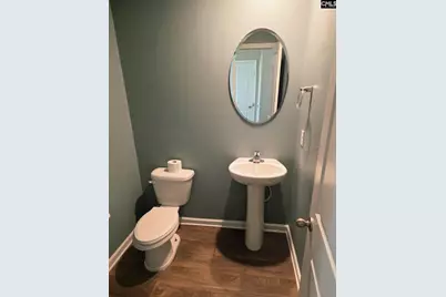 153 Rushton Drive, Chapin, SC 29036 - Photo 6