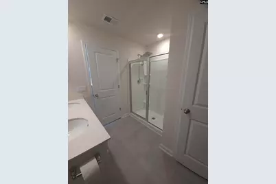 153 Rushton Drive, Chapin, SC 29036 - Photo 16