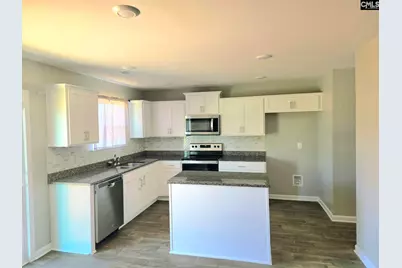 153 Rushton Drive, Chapin, SC 29036 - Photo 8