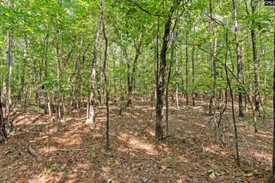 259 Sessions Road, Elgin, SC 29045 - Photo 60