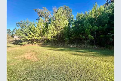 297 Massey Circle, Chapin, SC 29036 - Photo 20