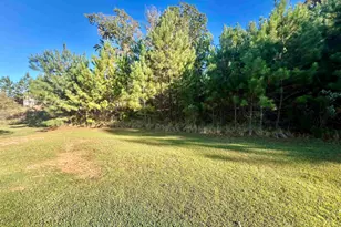 297 Massey Cir, Chapin, SC 29036 - Photo 20