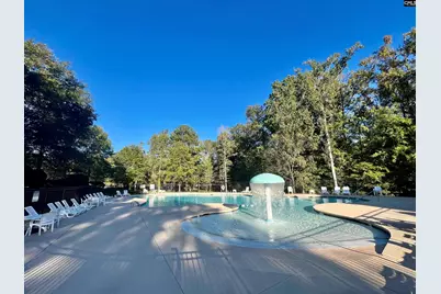 297 Massey Circle, Chapin, SC 29036 - Photo 24