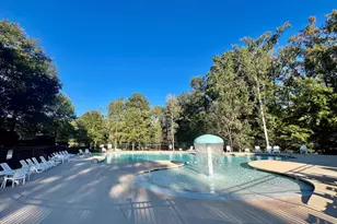 297 Massey Cir, Chapin, SC 29036 - Photo 24