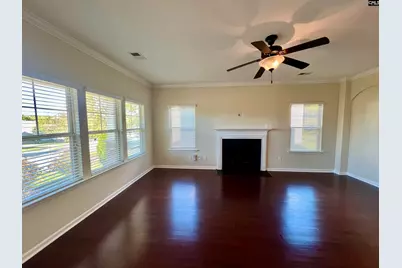 297 Massey Circle, Chapin, SC 29036 - Photo 4