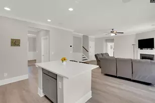 533 Mitscher Wy, Chapin, SC 29036 - Photo 8