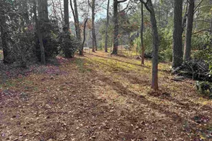 1403 Westshore, Ridgeway, SC 29130 - Photo 8