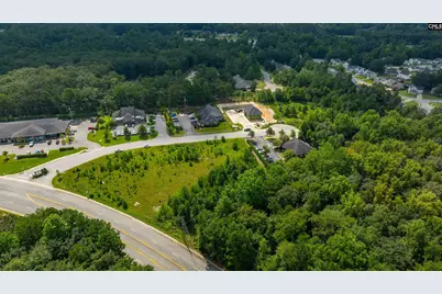 118 Barton Creek Court, Columbia, SC 29229 - Photo 10