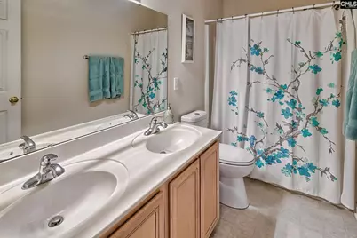 320 Amberwood Circle, Irmo, SC 29063 - Photo 22