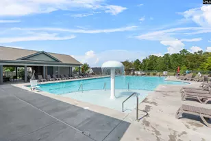 814 Dutchmaster Dr, Chapin, SC 29036 - Photo 24