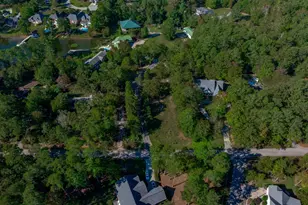 1304 Silver Point Rd, Chapin, SC 29036 - Photo 1