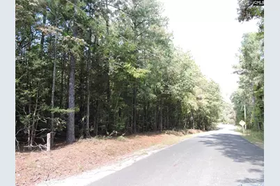 Tbd Leisure Point and Seibert, Prosperity, SC 29127 - Photo 1