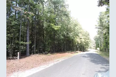 Tbd Leisure Point and Seibert, Prosperity, SC 29127 - Photo 2