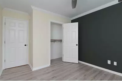 117 Bogater Road, Chapin, SC 29036 - Photo 58