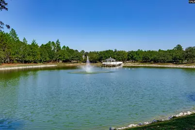 242 Drooping Leaf Lane, Lexington, SC 29072 - Photo 50