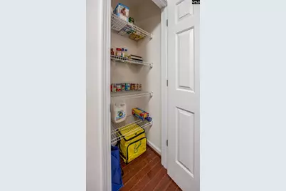 242 Drooping Leaf Lane, Lexington, SC 29072 - Photo 22