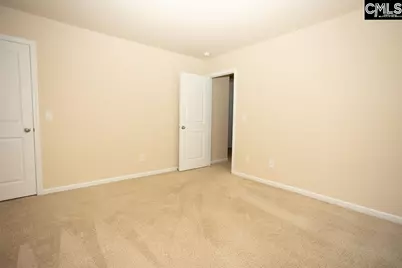 384 Explorer Drive, Chapin, SC 29036 - Photo 46