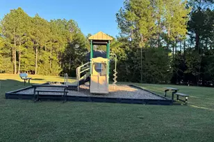 384 Explorer Dr, Chapin, SC 29036 - Photo 54