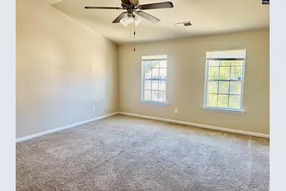 384 Explorer Drive, Chapin, SC 29036 - Photo 32