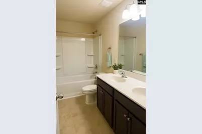 384 Explorer Drive, Chapin, SC 29036 - Photo 48