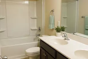 384 Explorer Dr, Chapin, SC 29036 - Photo 48