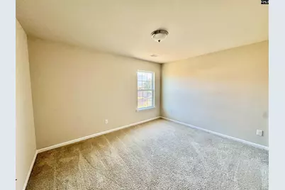 384 Explorer Drive, Chapin, SC 29036 - Photo 44