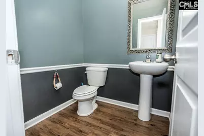 384 Explorer Drive, Chapin, SC 29036 - Photo 28