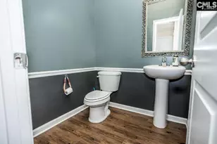 384 Explorer Dr, Chapin, SC 29036 - Photo 28