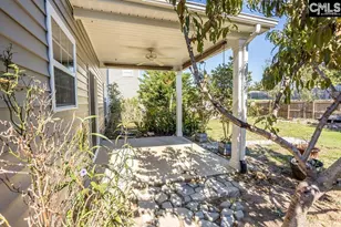 384 Explorer Dr, Chapin, SC 29036 - Photo 10