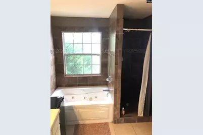 229 Orchard Hill Drive, West Columbia, SC 29170 - Photo 12