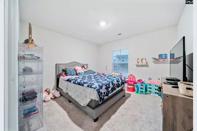 1718 Tabasco Cat Road, Lexington, SC 29073 - Photo 24