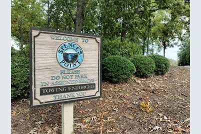 1441 Old Chapin Road 832, Lexington, SC 29072 - Photo 28