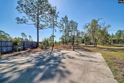 153 Nancy Road, Pelion, SC 29123 - Photo 36