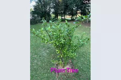 1123 Pine Street, West Columbia, SC 29172 - Photo 46