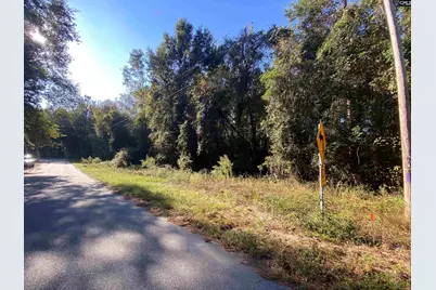 119 Pine Drive, Bethune, SC 29009 - Photo 1