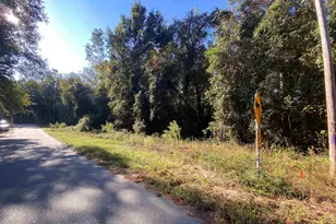 119 Pine Dr, Bethune, SC 29009 - Photo 1