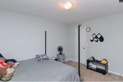 424 Maypop Lane, Irmo, SC 29063 - Photo 38