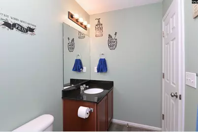 424 Maypop Lane, Irmo, SC 29063 - Photo 44