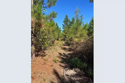 Bff 1B Jc Barefoot Road Bff 1B #BFF 1B, Patrick, SC 29584 - Photo 6