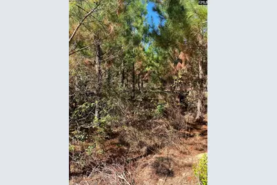 Bff 1B Jc Barefoot Road Bff 1B #BFF 1B, Patrick, SC 29584 - Photo 8