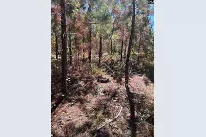 Bff 1B Jc Barefoot Road Bff 1B #BFF 1B, Patrick, SC 29584 - Photo 16