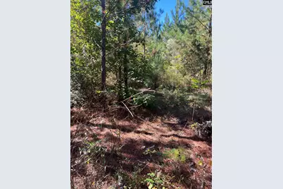 Bff 1B Jc Barefoot Road Bff 1B #BFF 1B, Patrick, SC 29584 - Photo 20