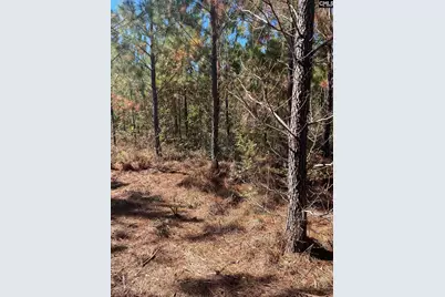 Bff 1B Jc Barefoot Road Bff 1B #BFF 1B, Patrick, SC 29584 - Photo 14