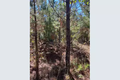 Bff 1B Jc Barefoot Road Bff 1B #BFF 1B, Patrick, SC 29584 - Photo 22