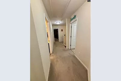 520 Spanish Leaf Lane, West Columbia, SC 29169 - Photo 14