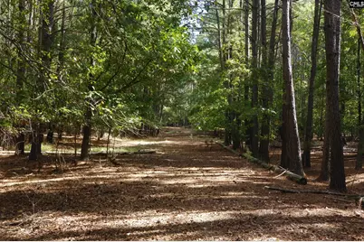 28 Chalet Road, Prosperity, SC 29127 - Photo 10