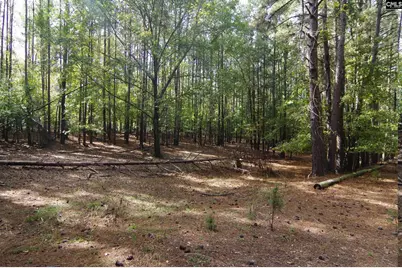 28 Chalet Road, Prosperity, SC 29127 - Photo 12