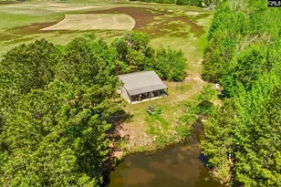 Tbd Alligator Rd, Bamberg, SC 29843 - Photo 1
